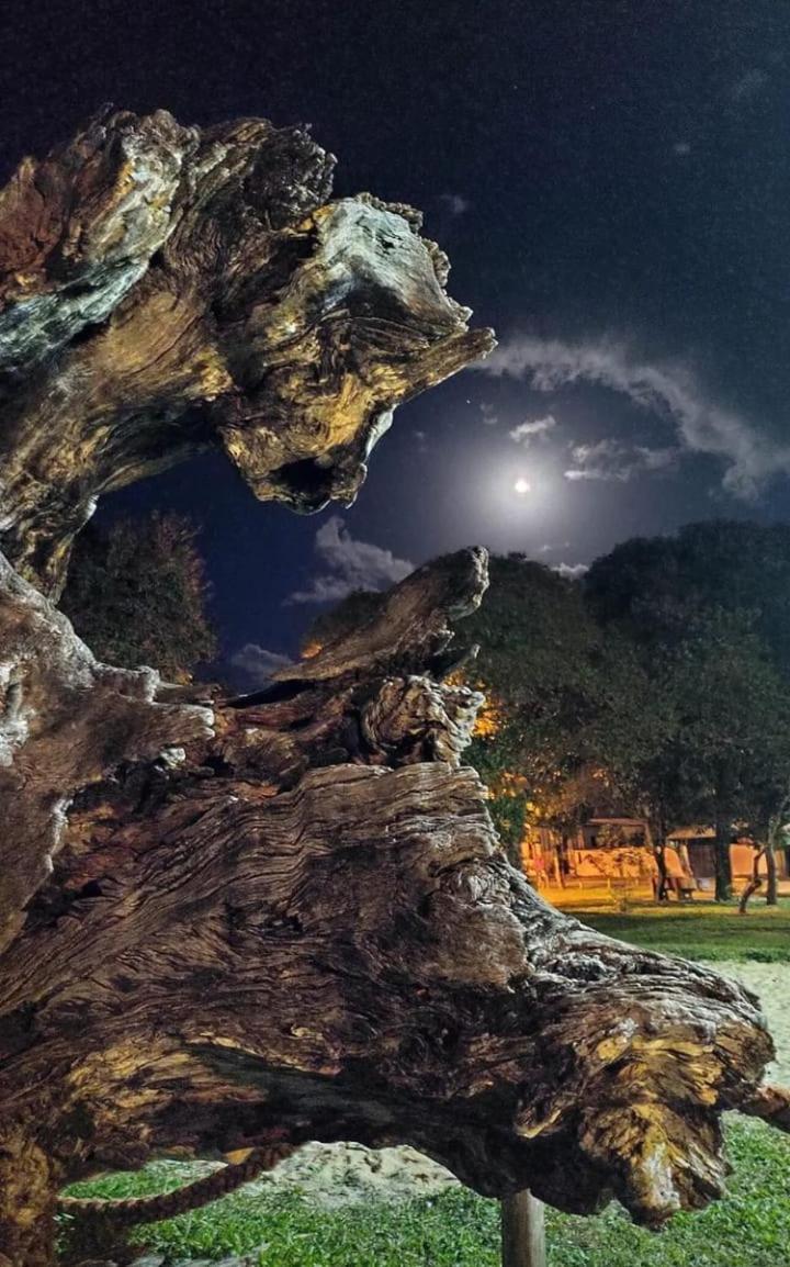 Pousada Vila Morena Itaunas  Luaran gambar